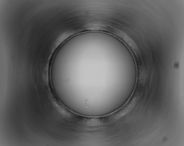 X0000103940986200809261722