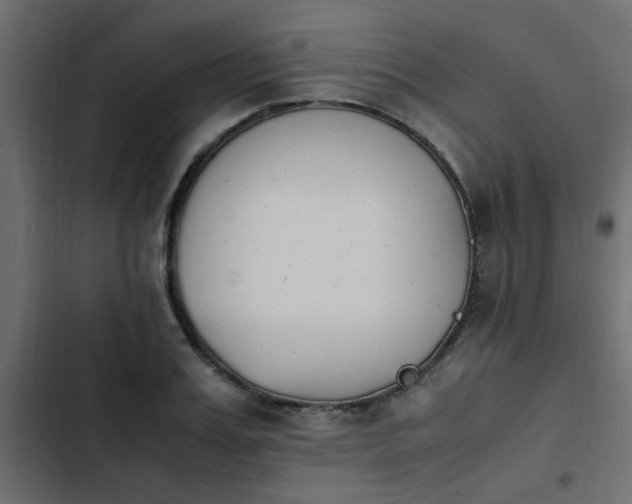 X0000103940987200809261721