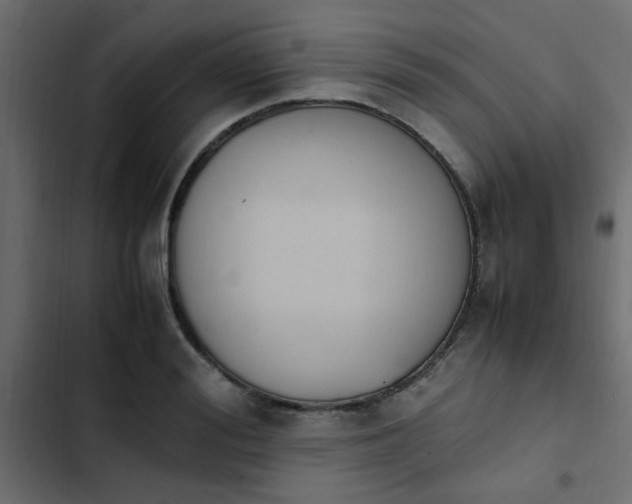 X0000103940988200809261721