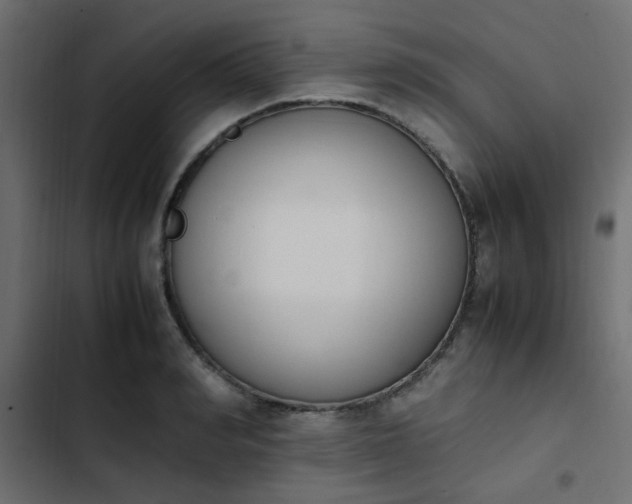 X0000103940990200809261721