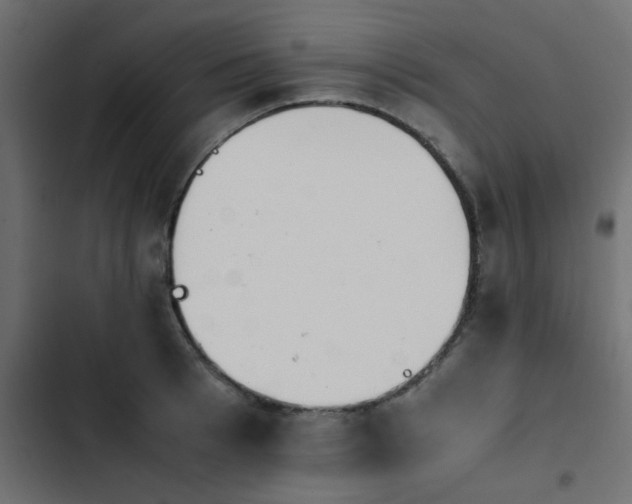 X0000103940993200809261721