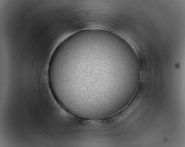 X0000103940995200809261721