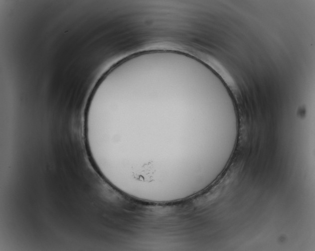 X0000103940996200809261721
