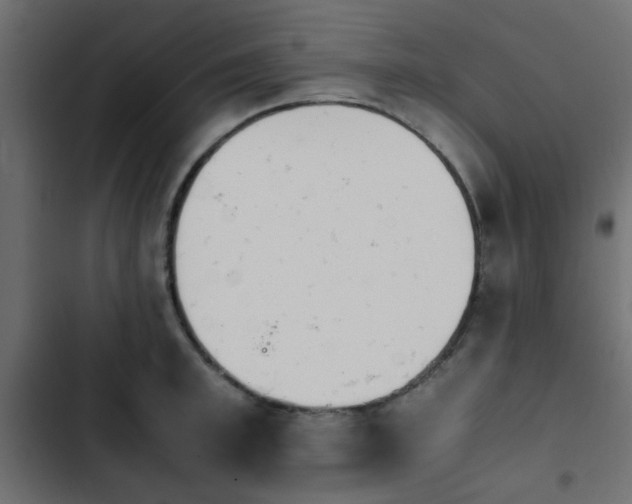 X0000103940997200809261721