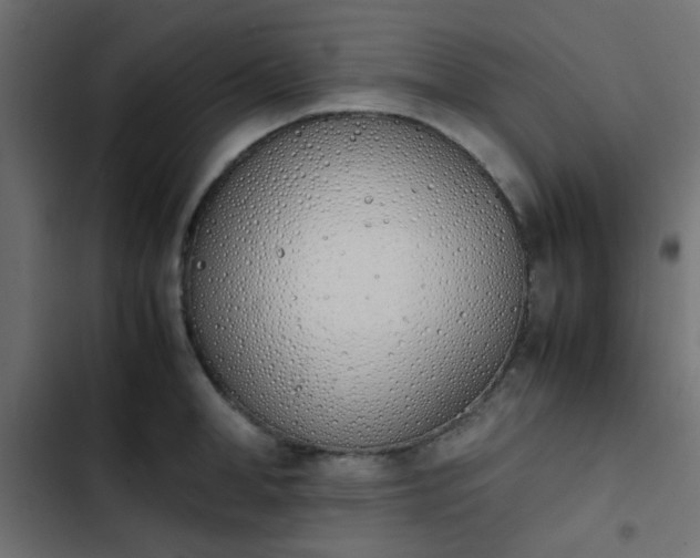 X0000103940998200809261721