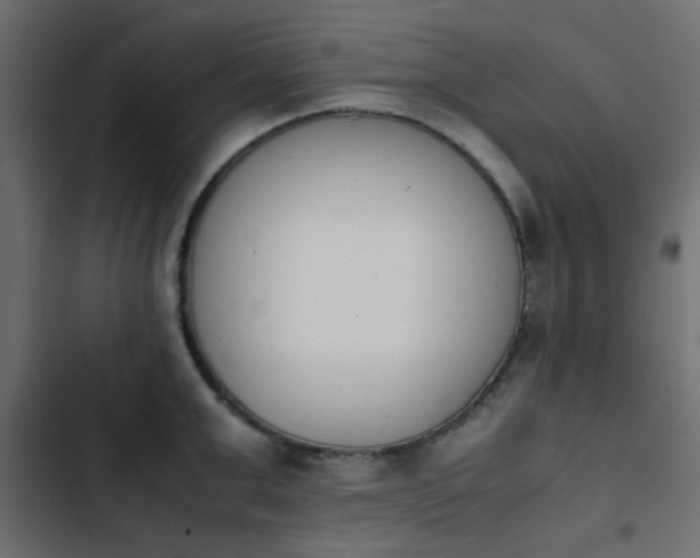 X0000103940999200809261721