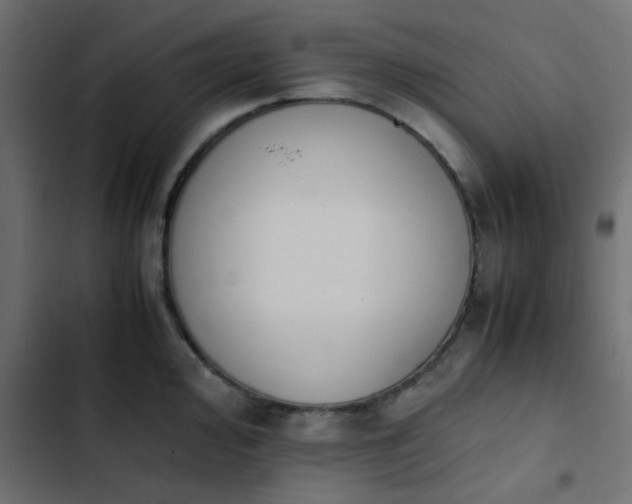 X0000103941000200809261721