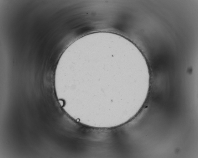 X0000103941001200809261721