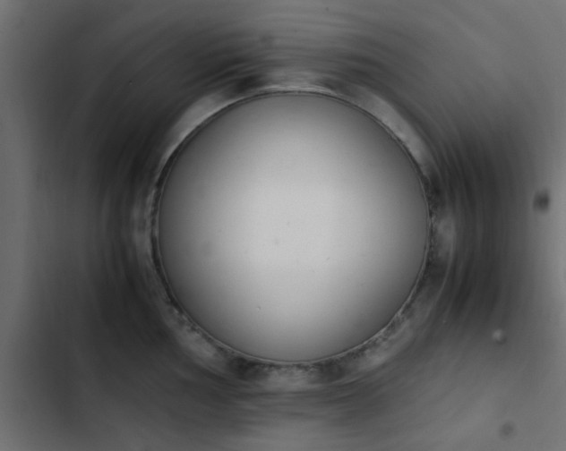 X0000103941002200809261721