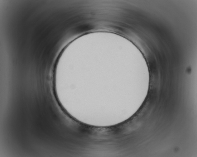 X0000103941003200809261721