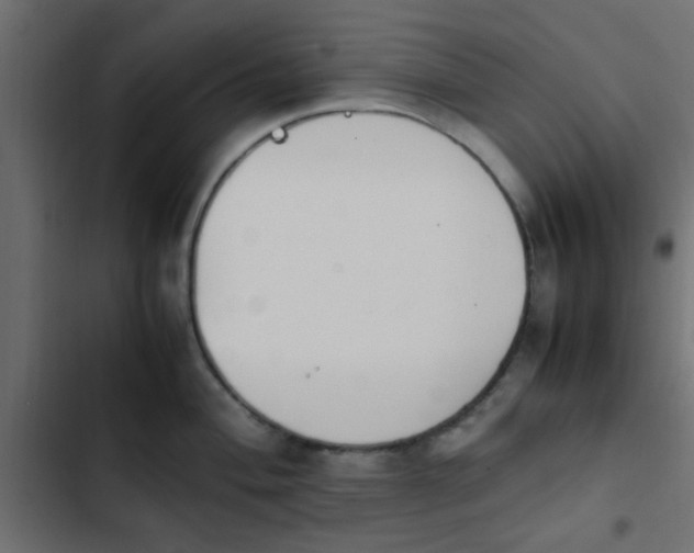 X0000103941004200809261721