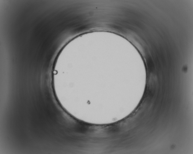 X0000103941005200809261721