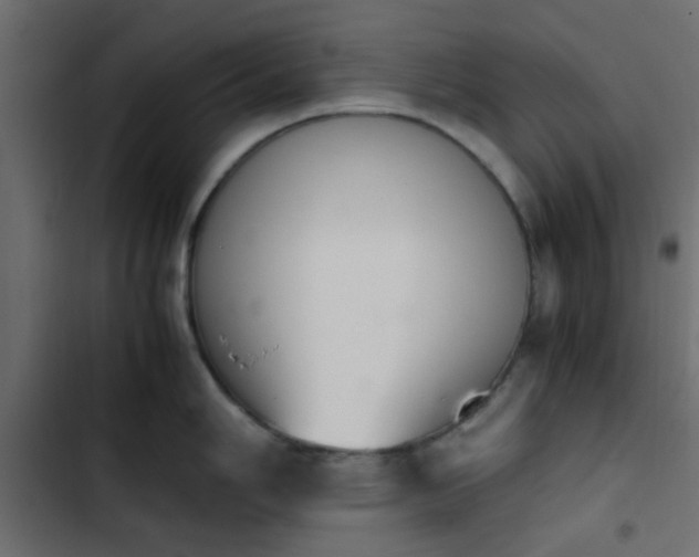 X0000103941006200809261721