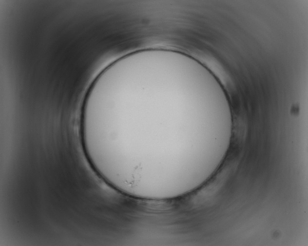 X0000103941007200809261721
