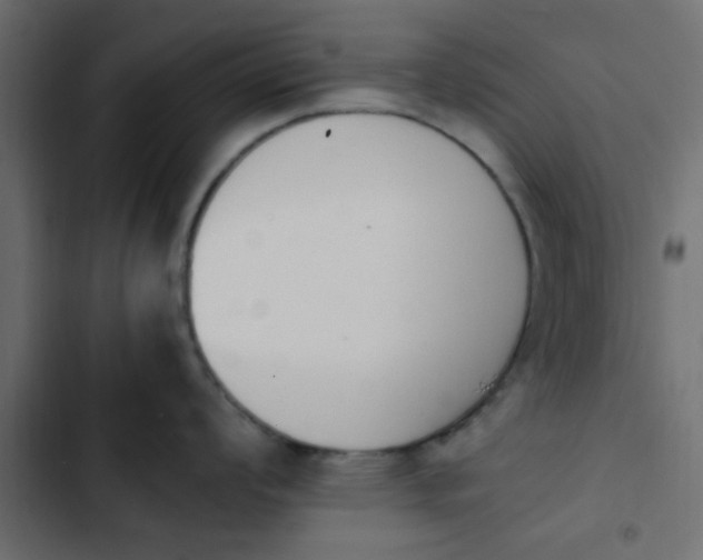 X0000103941008200809261721