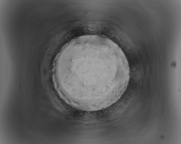 X0000103941009200809261721