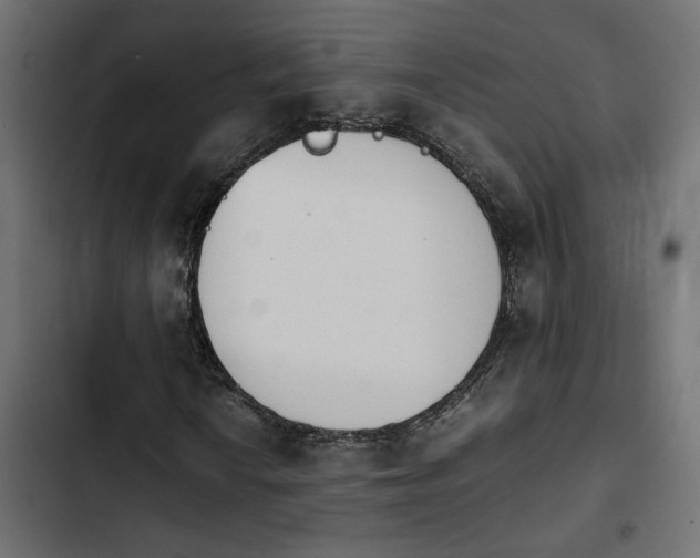 X0000103941010200809261721