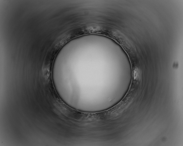 X0000103941011200809261721