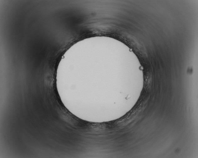 X0000103941012200809261721