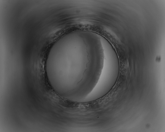 X0000103941013200809261721