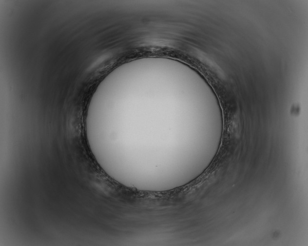 X0000103941014200809261721