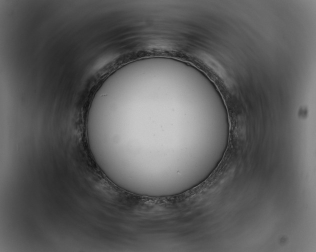 X0000103941015200809261721