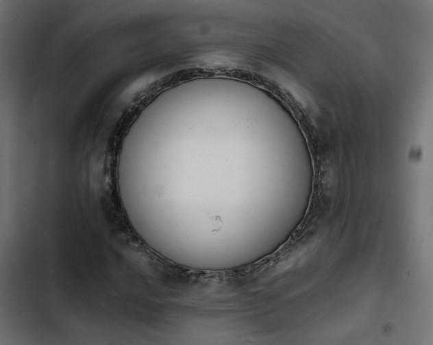 X0000103941016200809261721