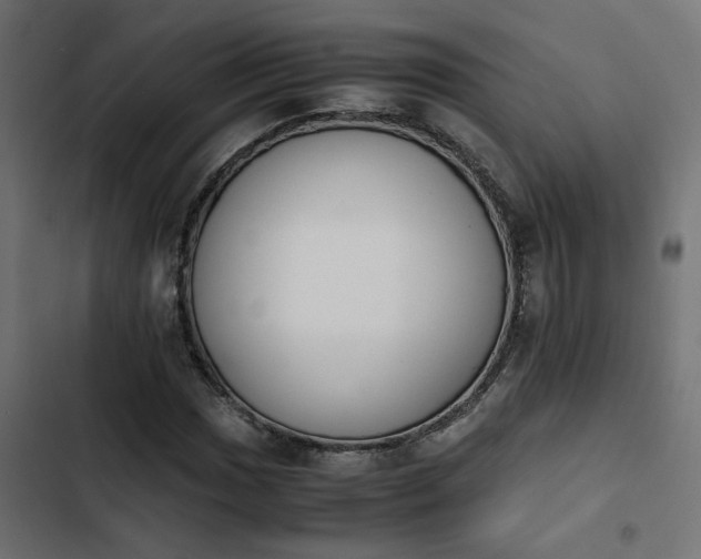 X0000103941017200809261721