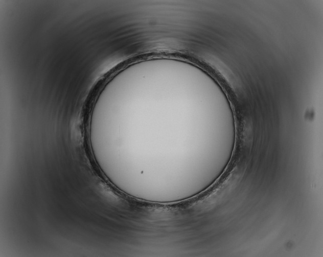 X0000103941018200809261721