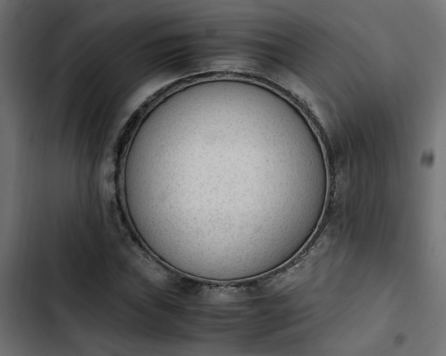 X0000103941019200809261721