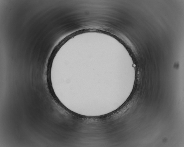 X0000103941020200809261721