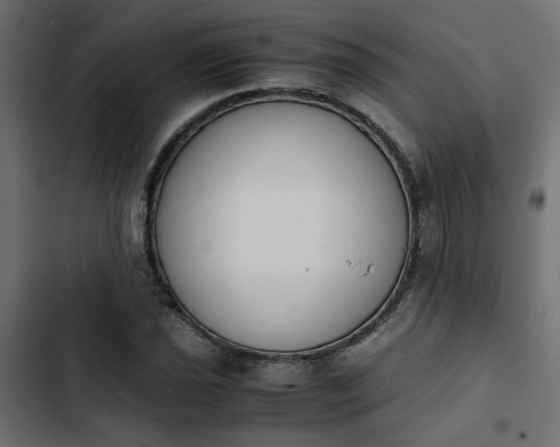 X0000103941021200809261721
