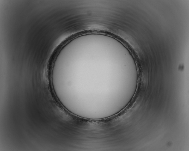 X0000103941022200809261721