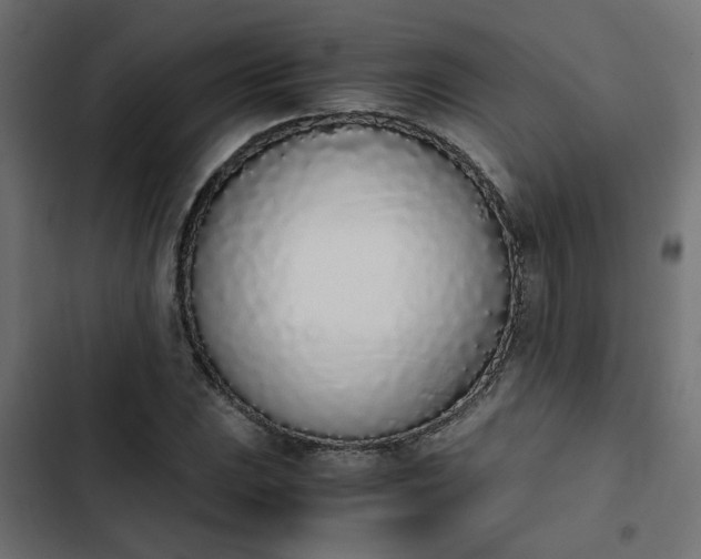 X0000103941023200809261721