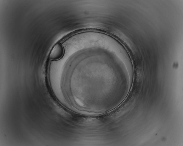 X0000103941024200809261721