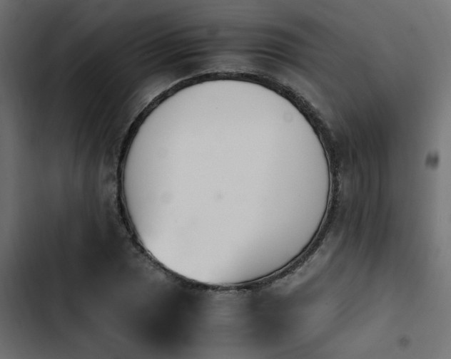 X0000103941025200809261721