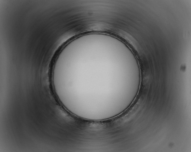 X0000103941026200809261721
