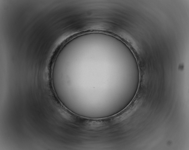 X0000103941027200809261721