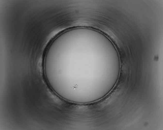 X0000103941030200809261721