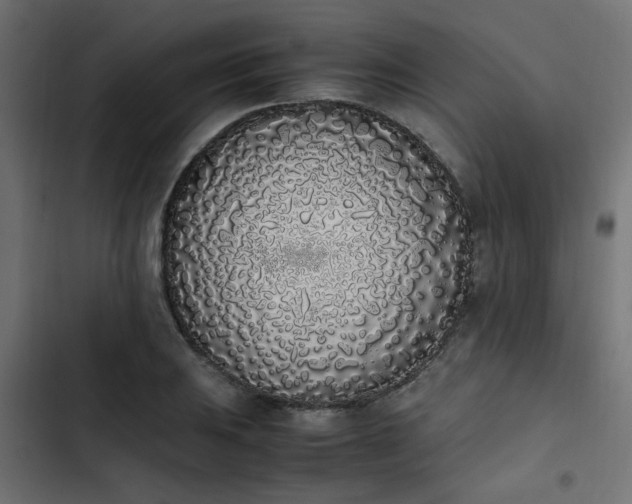 X0000103941031200809261721