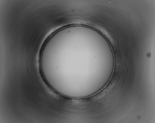 X0000103941032200809261721