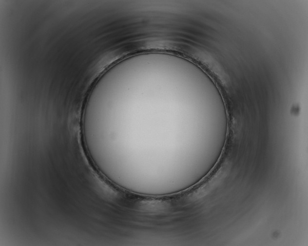 X0000103941033200809261721