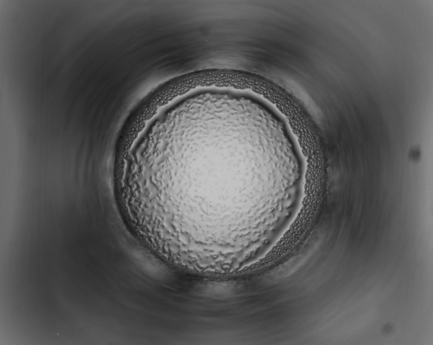 X0000103941035200809261721