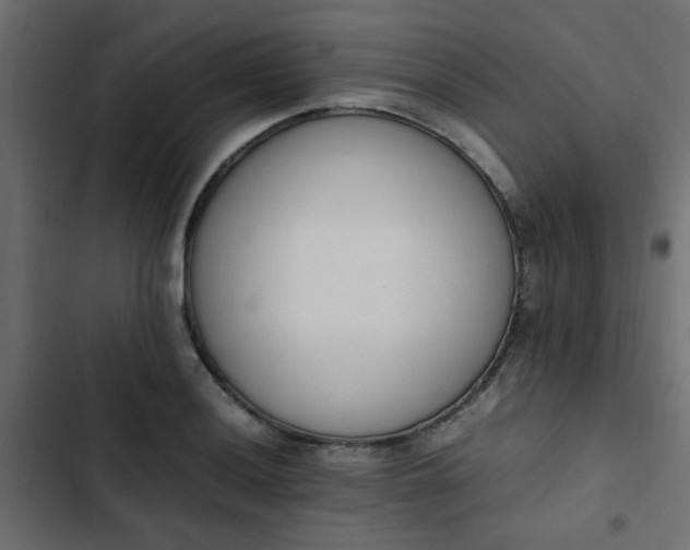 X0000103941036200809261721
