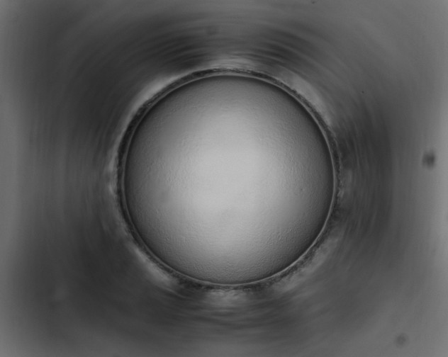 X0000103941037200809261721