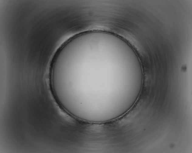 X0000103941038200809261721