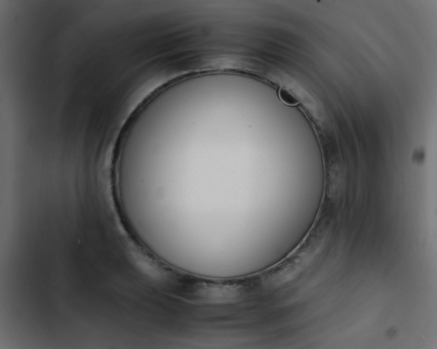 X0000103941039200809261721