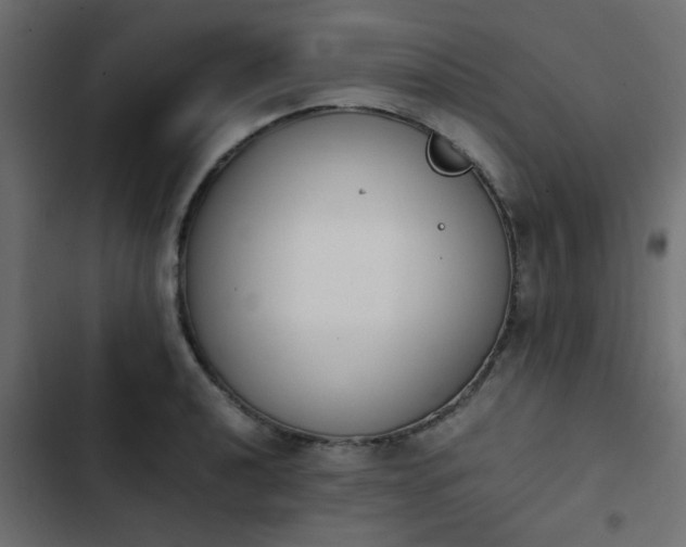 X0000103941040200809261721