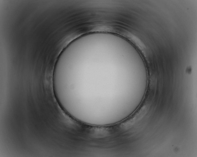 X0000103941041200809261721