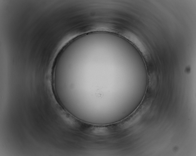 X0000103941043200809261721